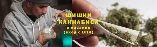 гидра Верея