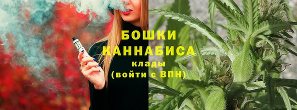 СК Михайлов