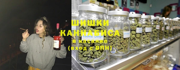 дмт Надым