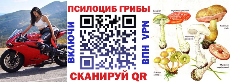 Псилоцибиновые грибы GOLDEN TEACHER  kraken вход  Буй 